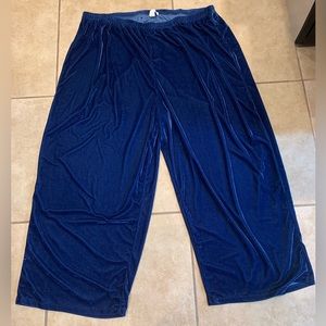 Women’s Royal Blue Velvet Pajama Pants Size: 3X